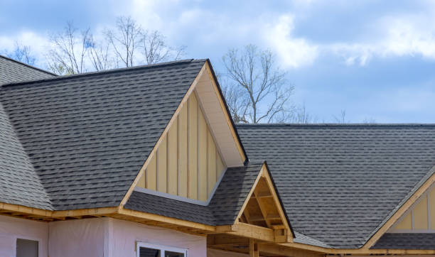 Best Skylight Installation and Repair  in New Kingman Butler, AZ